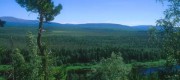 туристские паспорта рб