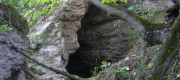 Прогулочно-смотровые выезды...