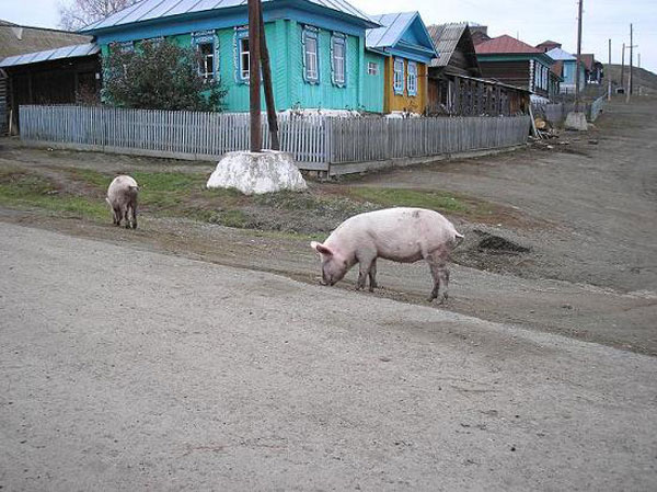 БАШТУРИСТ Кага